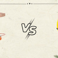 Vevor vs Sanyipace Kanalkamera: Ein umfassender Vergleich